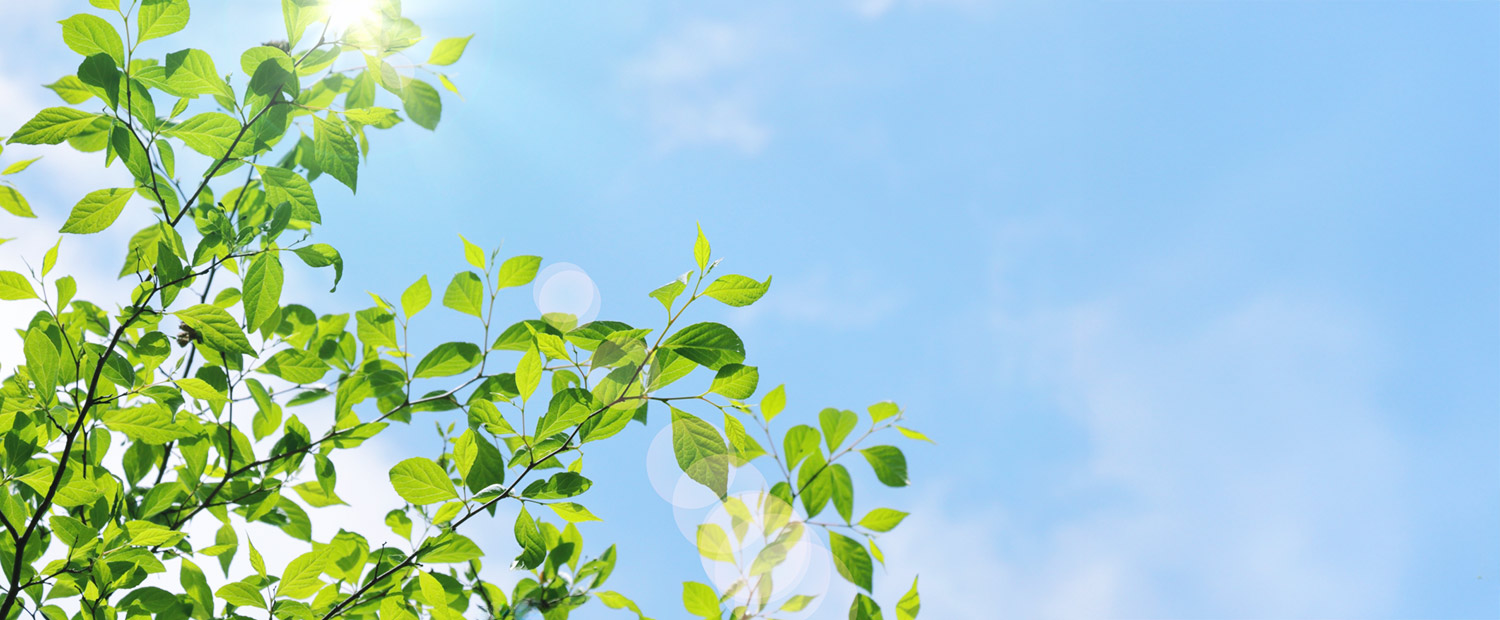 キービジュアルイメージ01